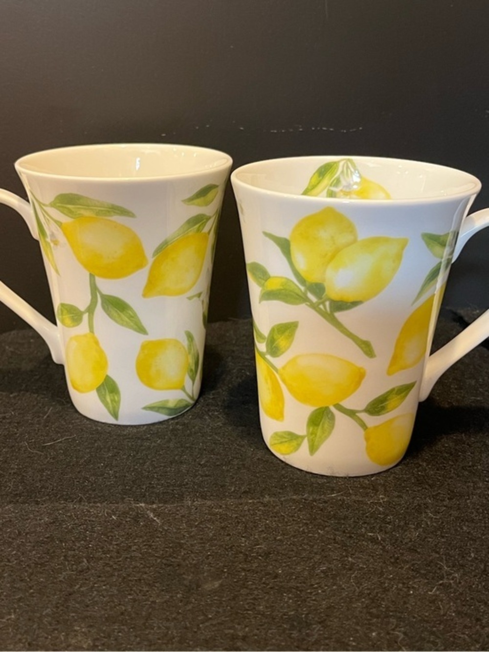 Mikasa Lemons Bone China Mugs Set of Two